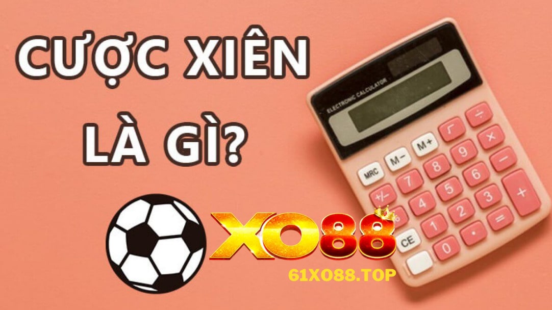 Kèo xiên là gì? Bạn nên tìm hiểu Kèo xiên là gì? Bạn nên tìm hiểu