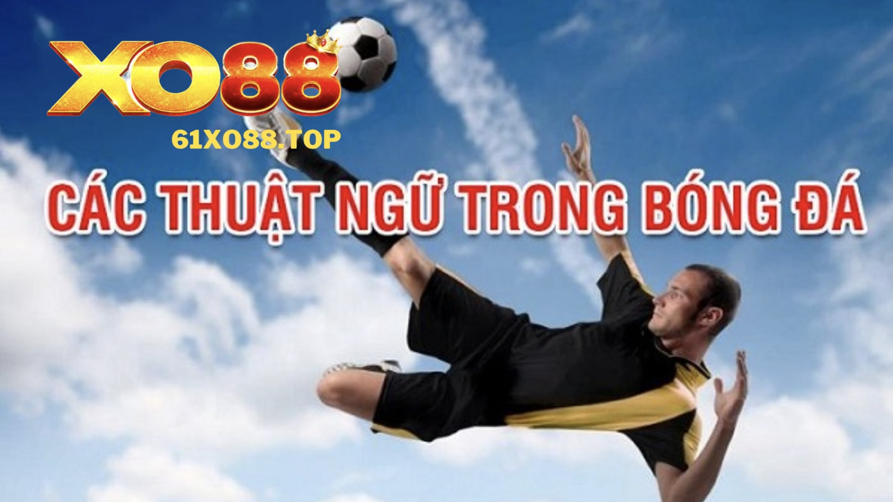 Các thuật ngữ cá cược bóng đá Các thuật ngữ cá cược bóng đá