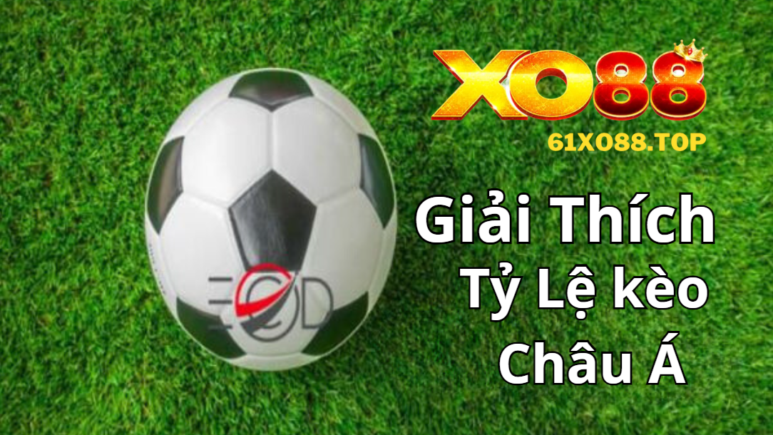 Giải thích các tỷ lệ kèo Châu Á Giải thích các tỷ lệ kèo Châu Á
