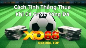 Cách tính thắng thua khi cá cược bóng đá