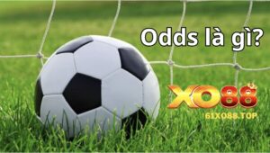 Odds là gì? Anh em bet thủ nên biết đến